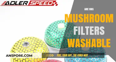 How to Clean HKS Mushroom Filters?