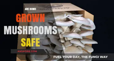 Mushroom Safety: Homegrown vs. Store-Bought