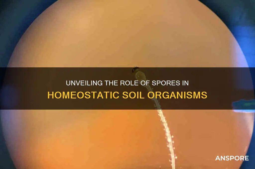 are homeostatic soil organisms spores