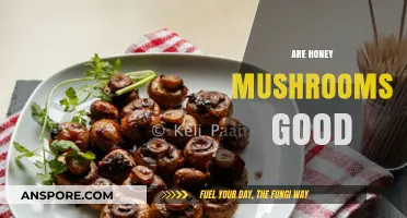 Are Honey Mushrooms Good? Benefits, Risks, and Culinary Uses Explained