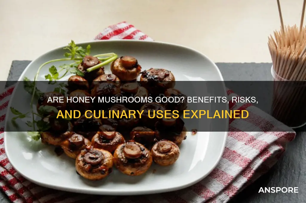 are honey mushrooms good
