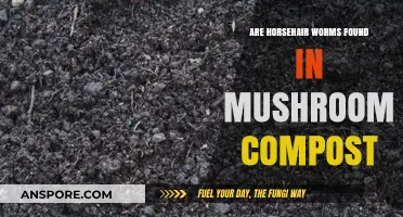 Horsehair Worms in Mushroom Compost: Myth or Reality?