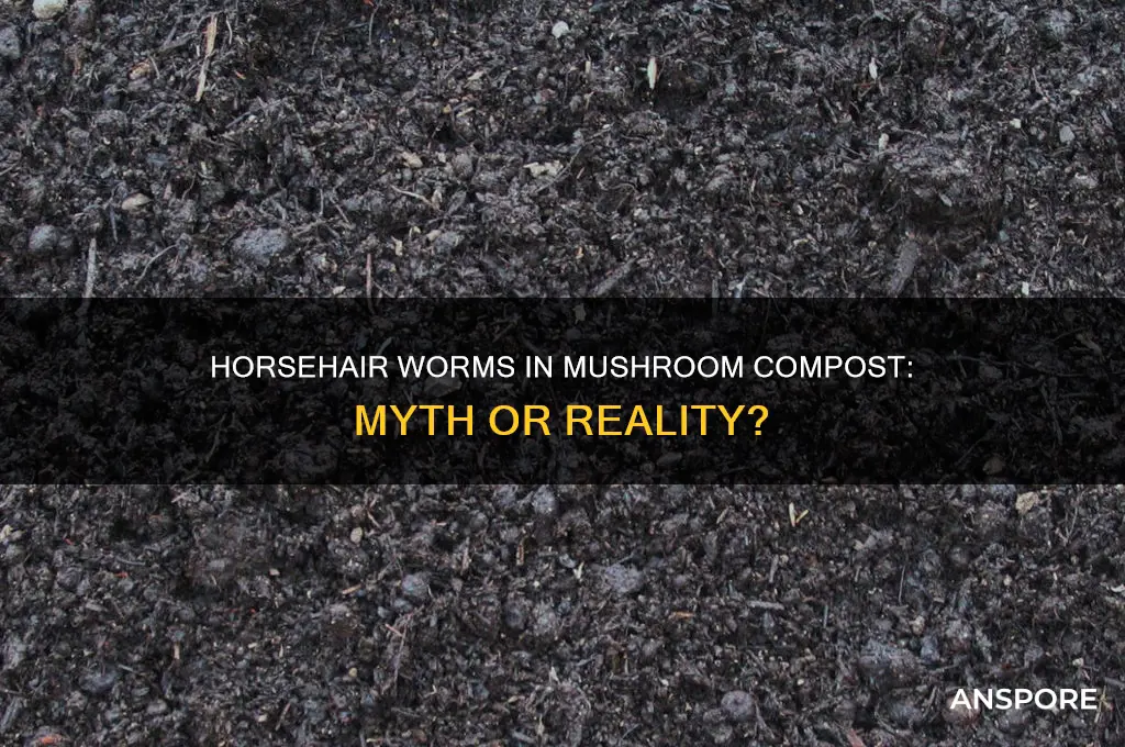 are horsehair worms found in mushroom compost