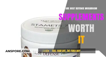 Host Defense Mushroom Supplements: Worth the Hype or Waste of Money?