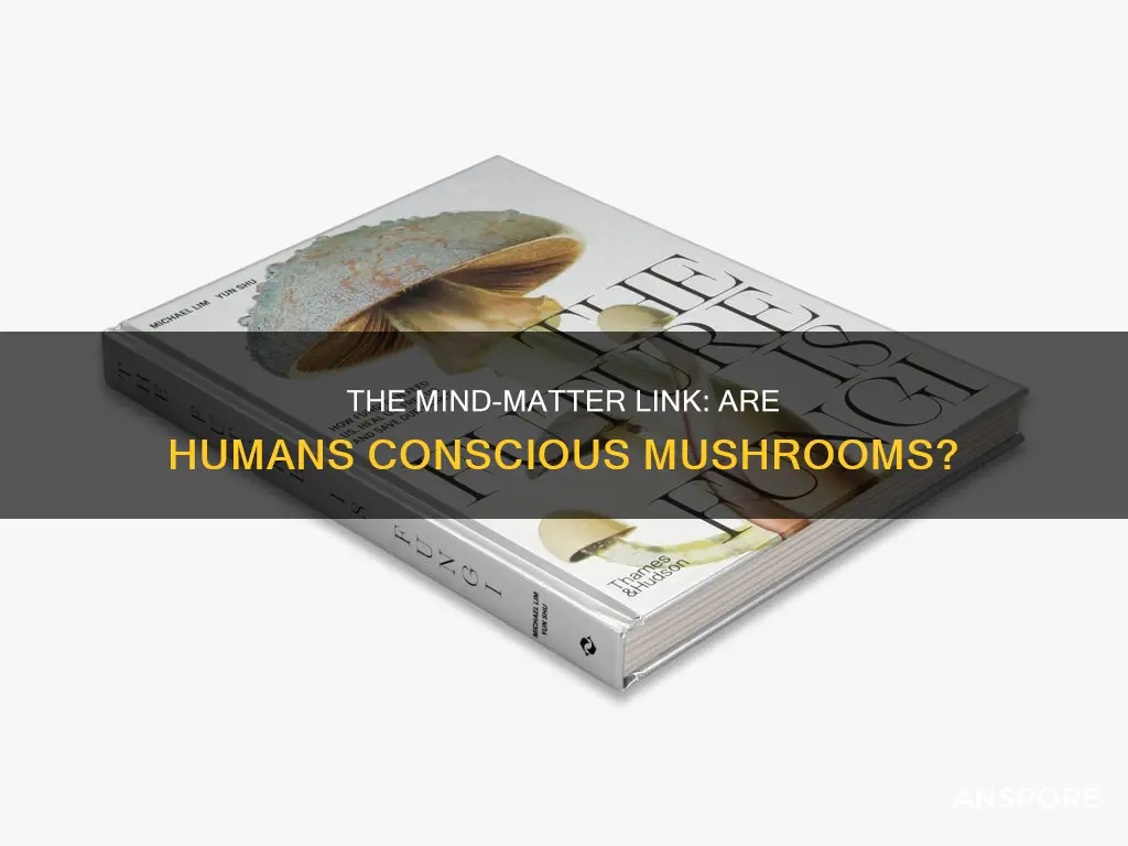 are humans a conscious mushrooms