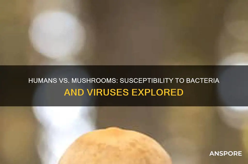are humans and mushrooms suseotable to bacteria and viruses