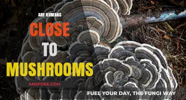 Mushroom-Human Kin: How Close Are We?