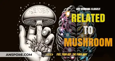 Humans and Mushrooms: Unveiling Our Surprising Evolutionary Connection