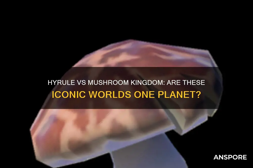 are hyrule and the mushroom kingdom on the same planet