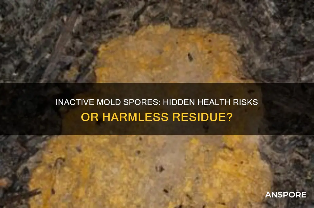 are inactive mold spores dangerous