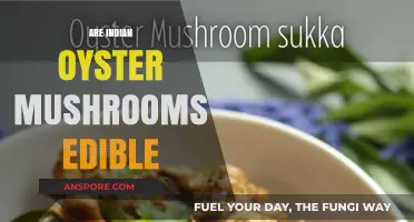 Are Indian Oyster Mushrooms Edible? A Comprehensive Guide to Safety