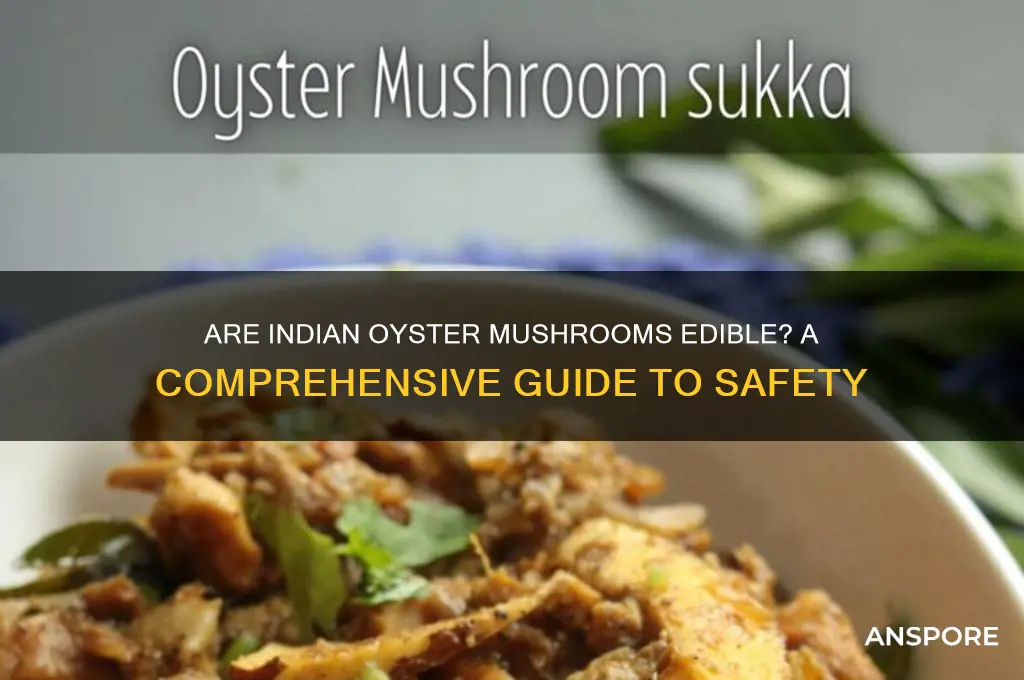 are indian oyster mushrooms edible