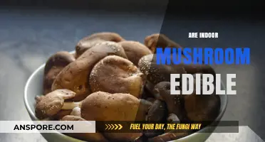 Can You Safely Eat Indoor-Grown Mushrooms? A Complete Guide