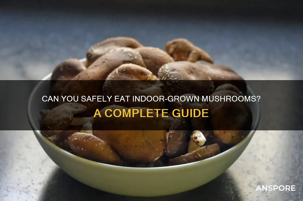 are indoor mushroom edible