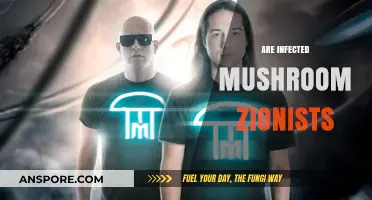 Infected Mushroom: Exploring Their Alleged Zionist Agenda