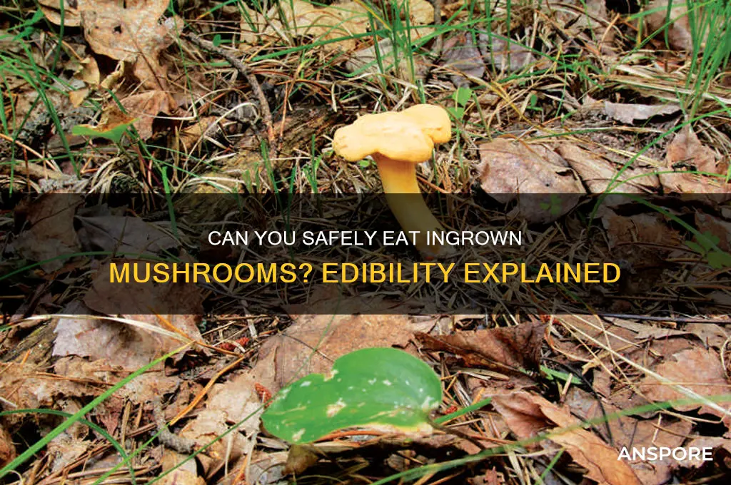 are ingrown mushrooms edible