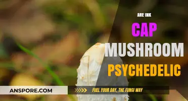 Ink Cap Mushrooms: A Psychedelic Experience?