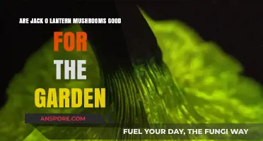 Jack O' Lantern Mushrooms: Garden Allies or Unwanted Guests?