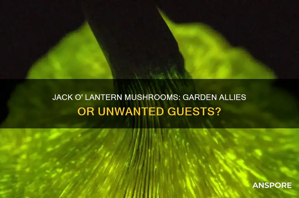 are jack o lantern mushrooms good for the garden