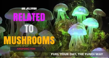 Jellyfish and Mushrooms: What's the Connection?