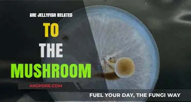 Jellyfish and Mushrooms: Unraveling Their Surprising Biological Connection