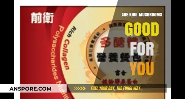 King Mushrooms: Unlocking Health Benefits and Nutritional Value