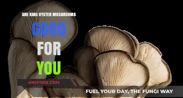 King Oyster Mushrooms: Unlocking Nutritional Benefits and Health Advantages