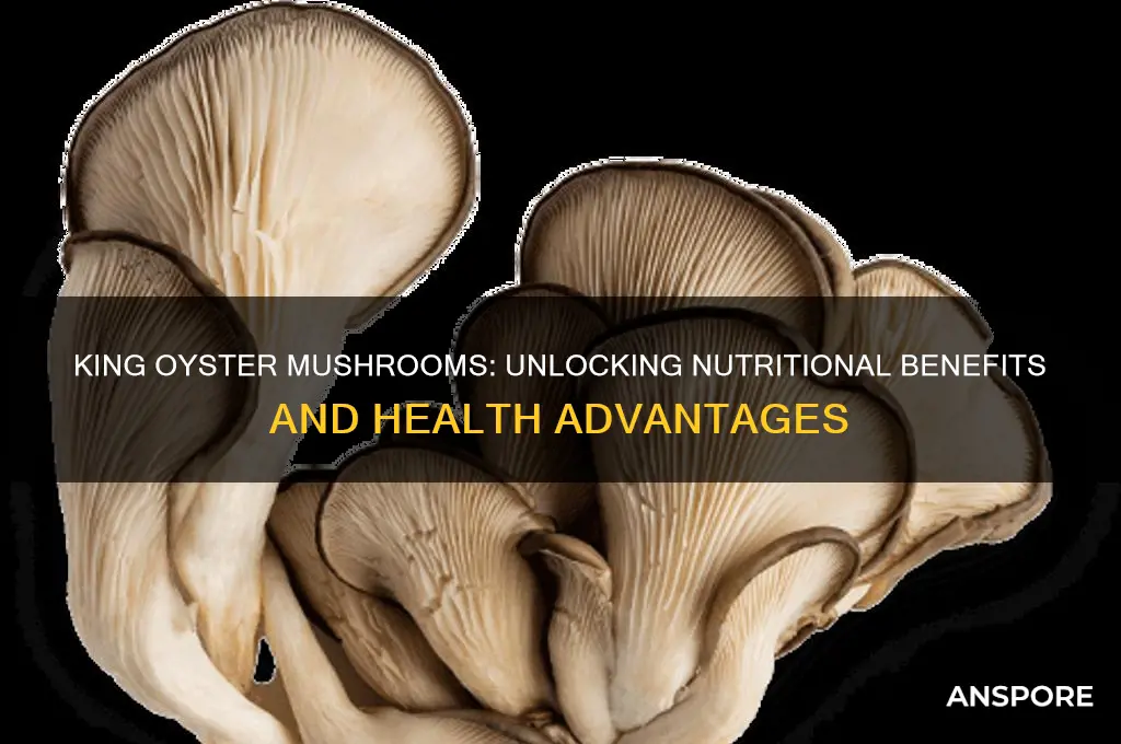 are king oyster mushrooms good for you