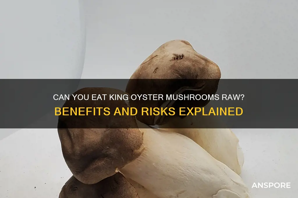 are king oyster mushrooms good raw