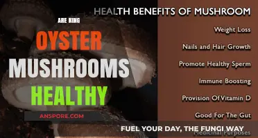 King Oyster Mushrooms: Superfood or Super-risky?