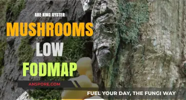 King Oyster Mushrooms: Are They Low FODMAP and Gut-Friendly?