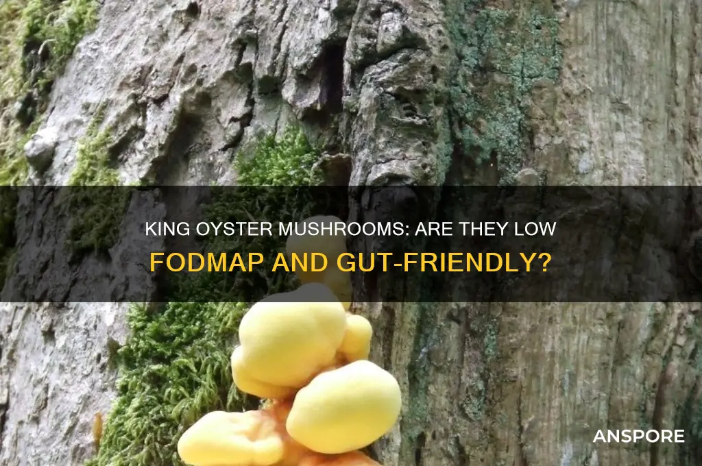 are king oyster mushrooms low fodmap