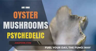 King Oyster Mushrooms: Psychedelic or Not?
