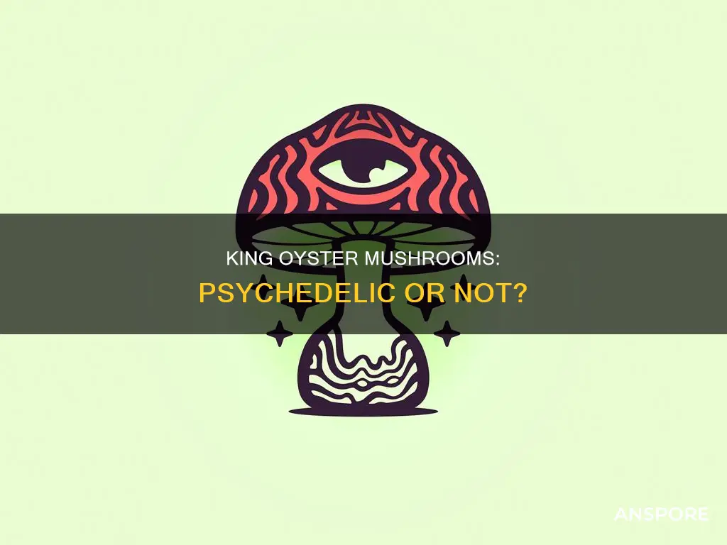 are king oyster mushrooms psychedelic