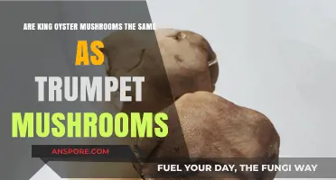 King Oyster vs. Trumpet Mushrooms: Unraveling the Fungal Confusion