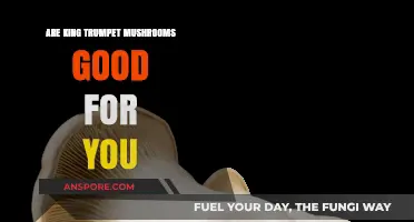 King Trumpet Mushrooms: Unlocking Nutritional Benefits and Health Advantages