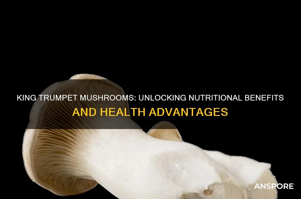 are king trumpet mushrooms good for you