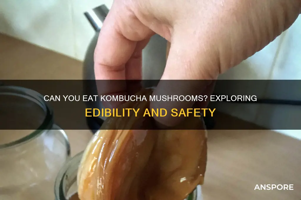 are kombucha mushrooms edible