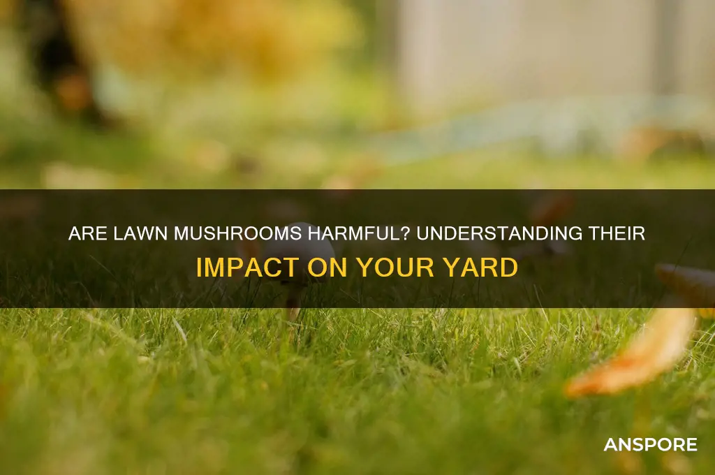 are lawn mushrooms bad