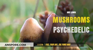 Exploring the Psychedelic Nature of Lawn Mushrooms