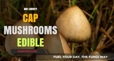 Are Liberty Cap Mushrooms Edible? Exploring Risks and Benefits