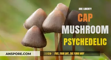 Psychedelic Liberty Caps: A Natural Trip
