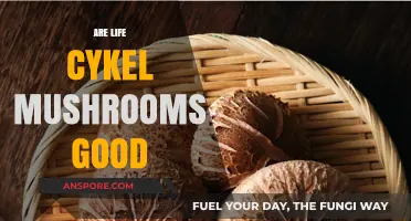 Are Life Cykel Mushrooms Good? Benefits, Uses, and Safety Explained