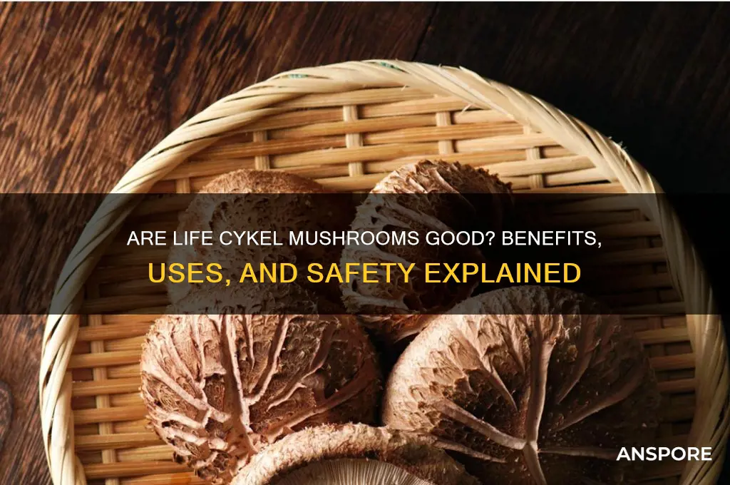 are life cykel mushrooms good
