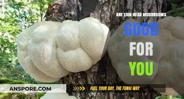 Lion's Mane Mushrooms: Unlocking Cognitive Health Benefits and Nutritional Value