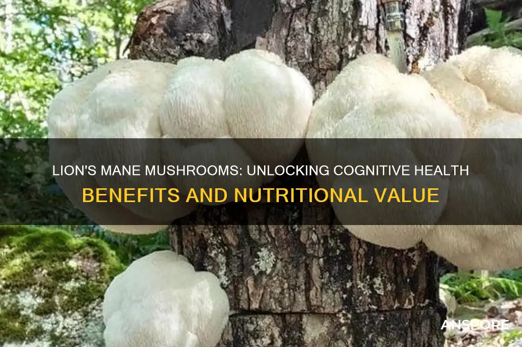 are lion head mushrooms good for you