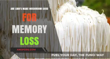 Lion's Mane Mushroom: A Natural Remedy for Memory Loss?