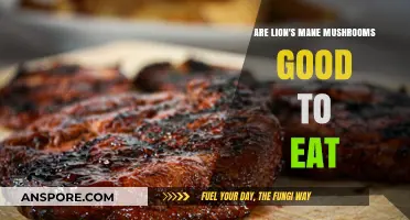 Lion's Mane Mushrooms: Nutritional Benefits and Culinary Uses Explored