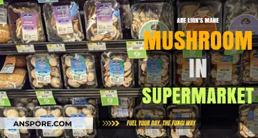 Are Lion's Mane Mushrooms Available in Supermarkets? A Guide