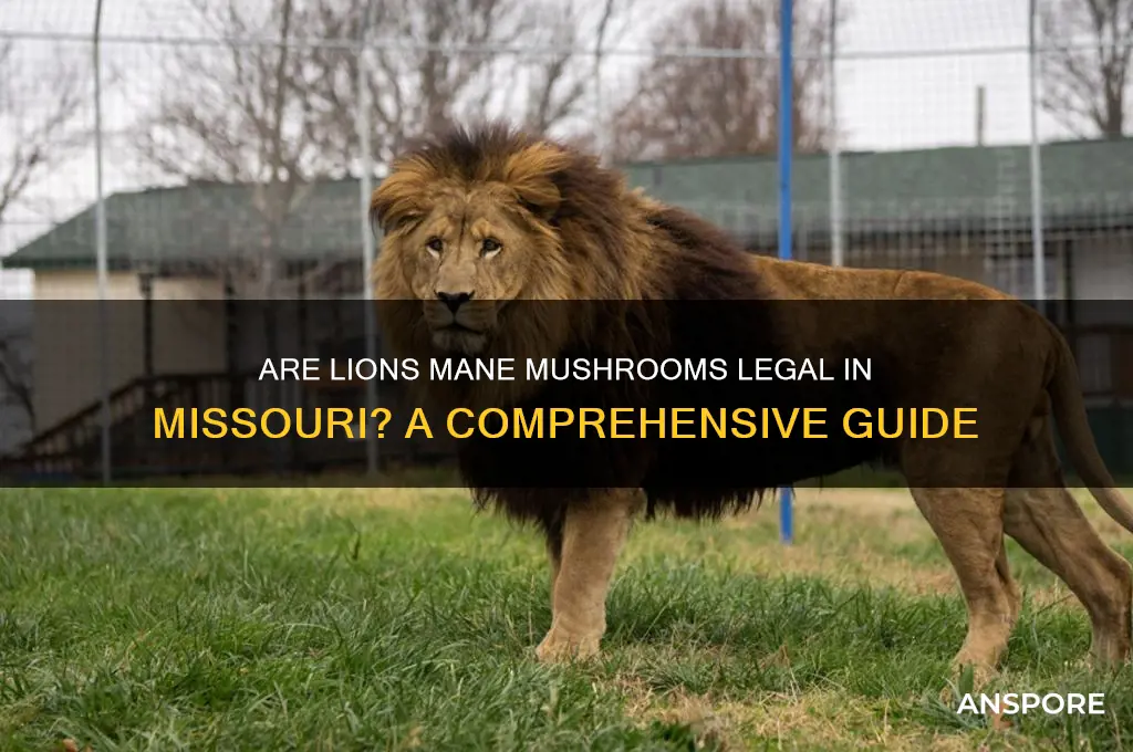 are lions mane mushrooms legal in missouri